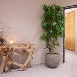 Eingangsbereich Sauna